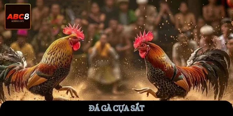 da-ga-cua-sat