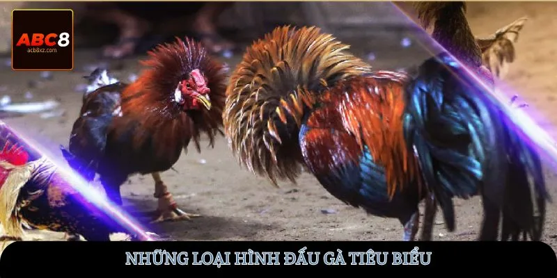 Những loại hình đấu gà tiêu biểu