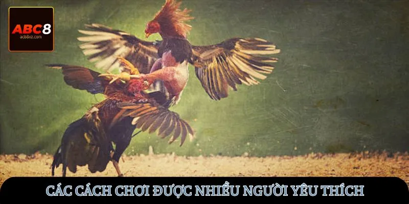 Các cách chơi được nhiều người yêu thích