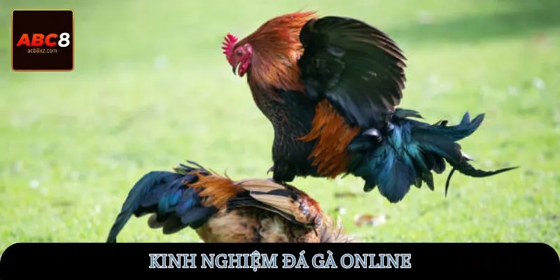 kinh-nghiem-da-ga-online