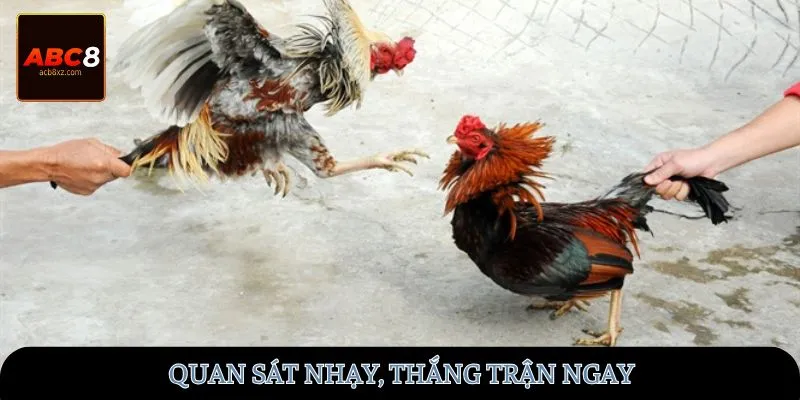 Quan sát nhạy, thắng trận ngay