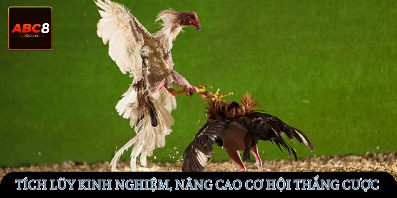 Tích lũy kinh nghiệm, nâng cao cơ hội thắng cược
